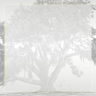 Yellow Gray Silver Mossy Oak Wedding Einladung