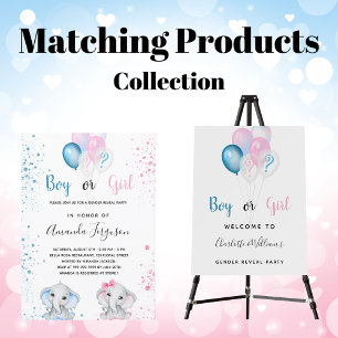 Geschlecht enthüllt Party Junge Mädchen blau rosa  Banner