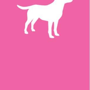 Labrador Hunde Kinderdusche Labrador Pink Girl Einladung