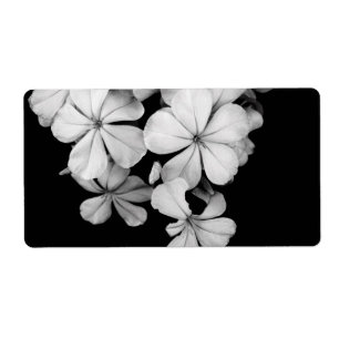 sw Postkarte