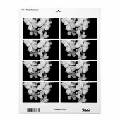 sw Postkarte (Vorne)