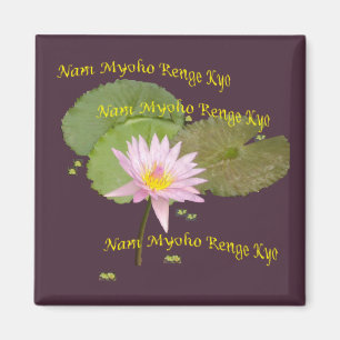 Swaaj NMRK Magnet