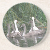 Swabs und Cygnets-Untersetzer Untersetzer (Vorne)