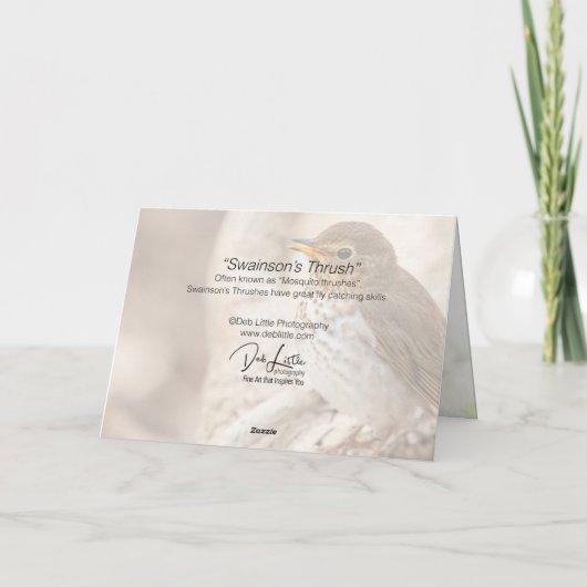 Swainson-Thrush Karte (Rückseite)