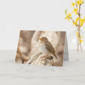 Swainson-Thrush Karte (Gelbe Blume)