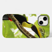 Swainson Toucan Exotic Bird Case-Mate iPhone Hülle (Rückseite (Horizontal))