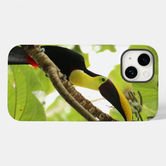Swainson Toucan Exotic Bird Case-Mate iPhone Hülle (Rückseite (Horizontal))