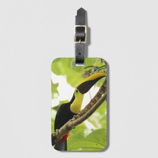 Swainson Toucan Exotic Bird Gepäckanhänger (Vorderseite Vertikal)