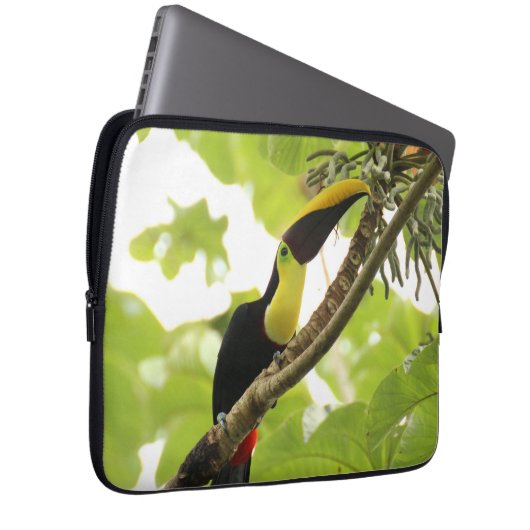 Swainson Toucan Exotic Bird Laptopschutzhülle (Vorne Rechts)