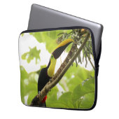 Swainson Toucan Exotic Bird Laptopschutzhülle (Vorderseite Links)