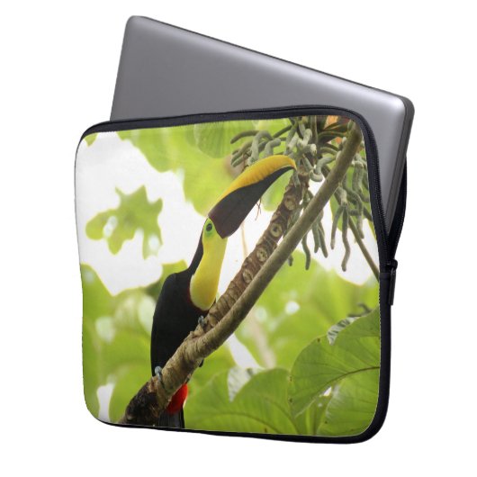 Swainson Toucan Exotic Bird Laptopschutzhülle (Vorderseite Links)