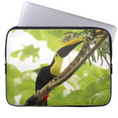 Swainson Toucan Exotic Bird Laptopschutzhülle (Vorderseite)