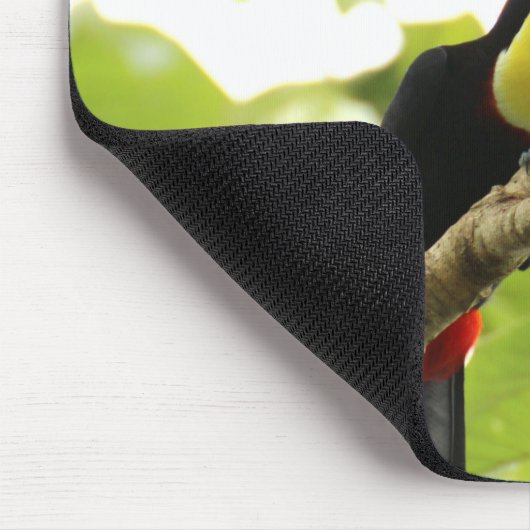 Swainson Toucan Exotic Bird Mousepad (Ecke)