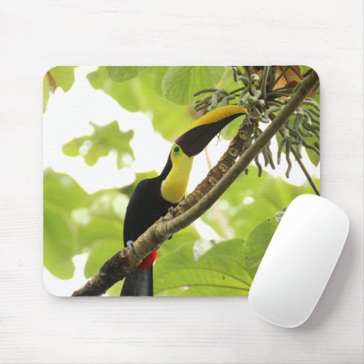 Swainson Toucan Exotic Bird Mousepad (Mit Mouse)