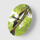 Swainson Toucan Exotic Bird Runde Wanduhr (Winkel)