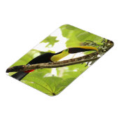 Swainson-Tukan Exotischer Vogel Magnet (Linke Seite)