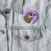 Swainsons Drossel Button (Beispiel)