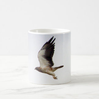 Swainsons Falke-Tasse Kaffeetasse
