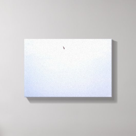 Swainson's Hawk Leinwanddruck (Vorderseite)