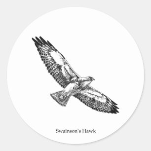 Swainson's Hawk Logo (mit dem Titel) Runder Aufkleber