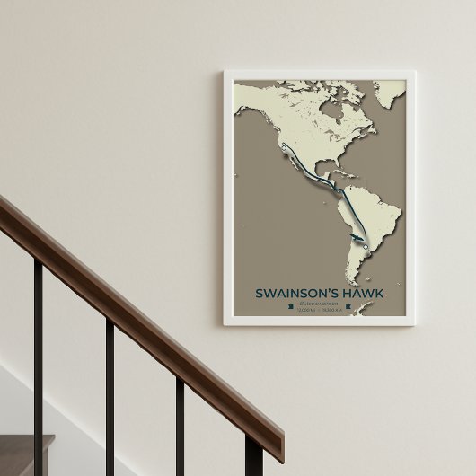 Swainsons "Hawk Migration Map" - Minimalistisch Vi Poster