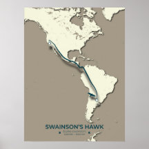 Swainsons "Hawk Migration Map" - Minimalistisch Vi