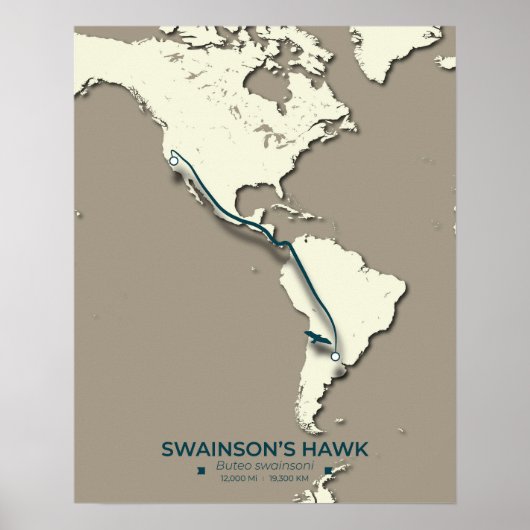 Swainsons "Hawk Migration Map" - Minimalistisch Vi Poster (Vorne)