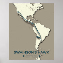 Swainsons "Hawk Migration Map" - Minimalistisch Vi