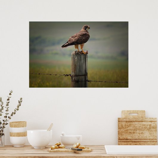 Swainsons Hawk mit seinem Tod Poster (Küche)