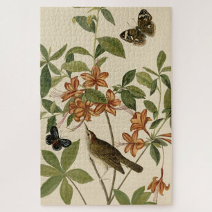Swainson's Warbler von Audubons Vögeln von Amerika Puzzle