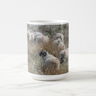 Swaledale-Mutterschafe in Wollgras in Northumberla Kaffeetasse