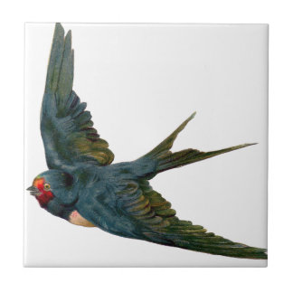 Swallow Fliese