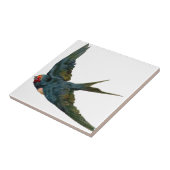 Swallow Fliese (Seite)