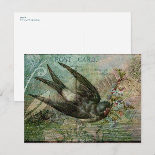 Swallow with Flowers Postkarte (Vorne/Hinten)