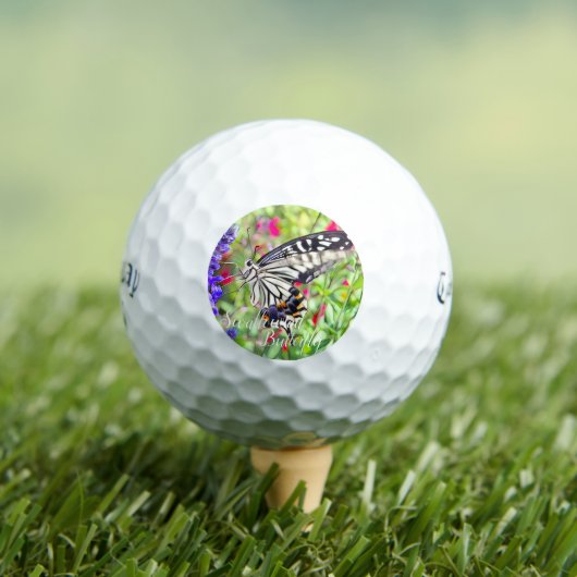 Swallowtail Butterfly Golfball (Insitu T-Shirt)
