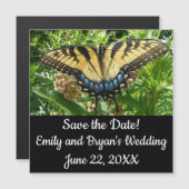 Swallowtail Butterfly II at Shenandoah Magnetkarte (Vorne/Hinten)