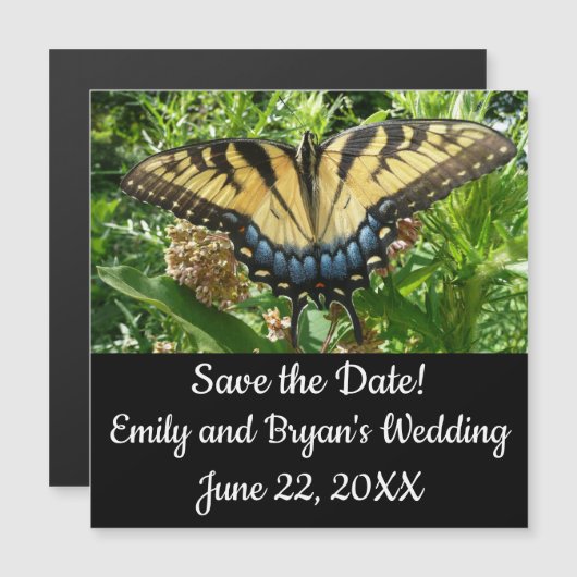 Swallowtail Butterfly II at Shenandoah Magnetkarte (Vorne/Hinten)