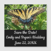 Swallowtail Butterfly II at Shenandoah Magnetkarte (Vorderseite)