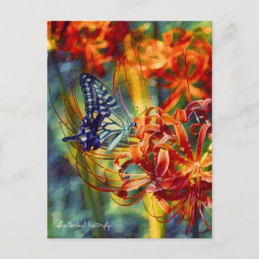 Swallowtail Butterfly:Postcard Postkarte (Vorderseite)