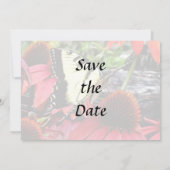 Swallowtail on Red Coneflower Save The Date (Rückseite)