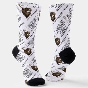 Swami Vivekananda Positive starke hilfreiche Gedan Socken