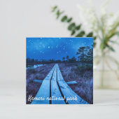 Swamp Night (Stehend Vorderseite)