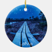 Swamp Night Keramik Ornament (Hinten)