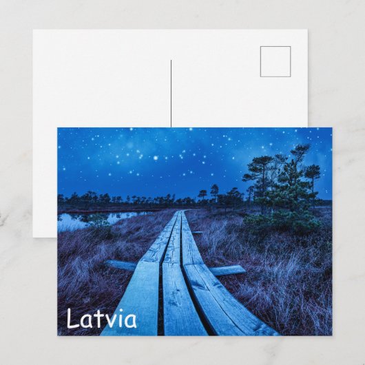 Swamp Night Postkarte (Vorne/Hinten)