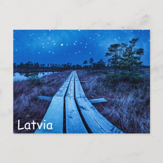 Swamp Night Postkarte (Vorderseite)