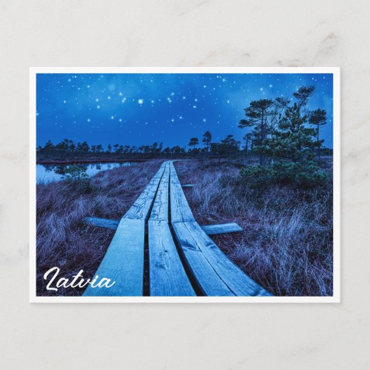 Swamp Night Postkarte (Vorderseite)