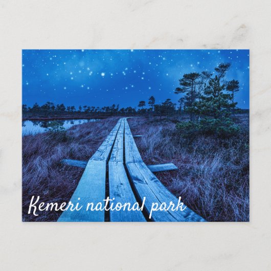 Swamp Night Postkarte (Vorderseite)