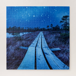 Swamp Night Puzzle
