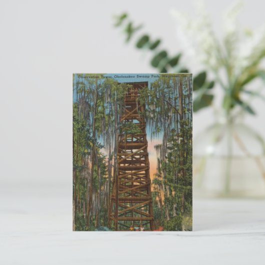 Swamp Park Okelenokee, Waycross, Georgia Postkarte (Stehend Vorderseite)