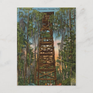 Swamp Park Okelenokee, Waycross, Georgia Postkarte